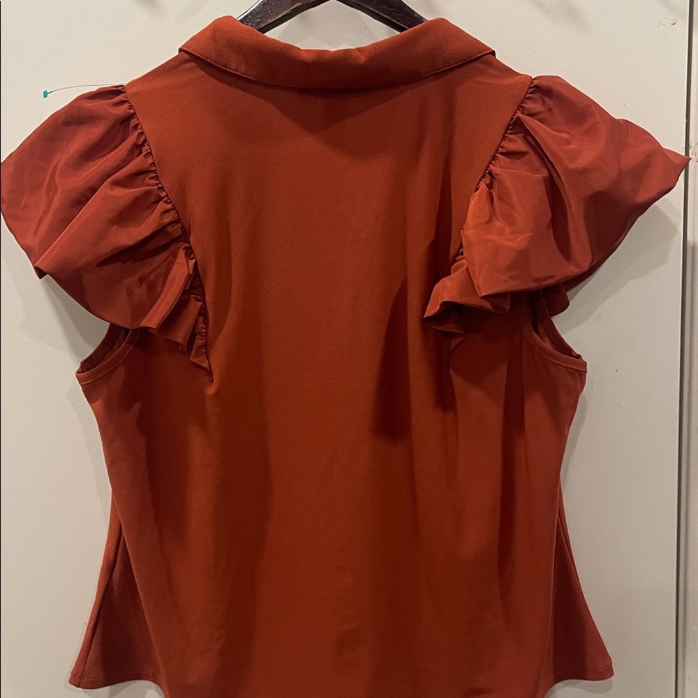 Madison Rust Ruffle Sleeve Blouse - Picture 5 of 5